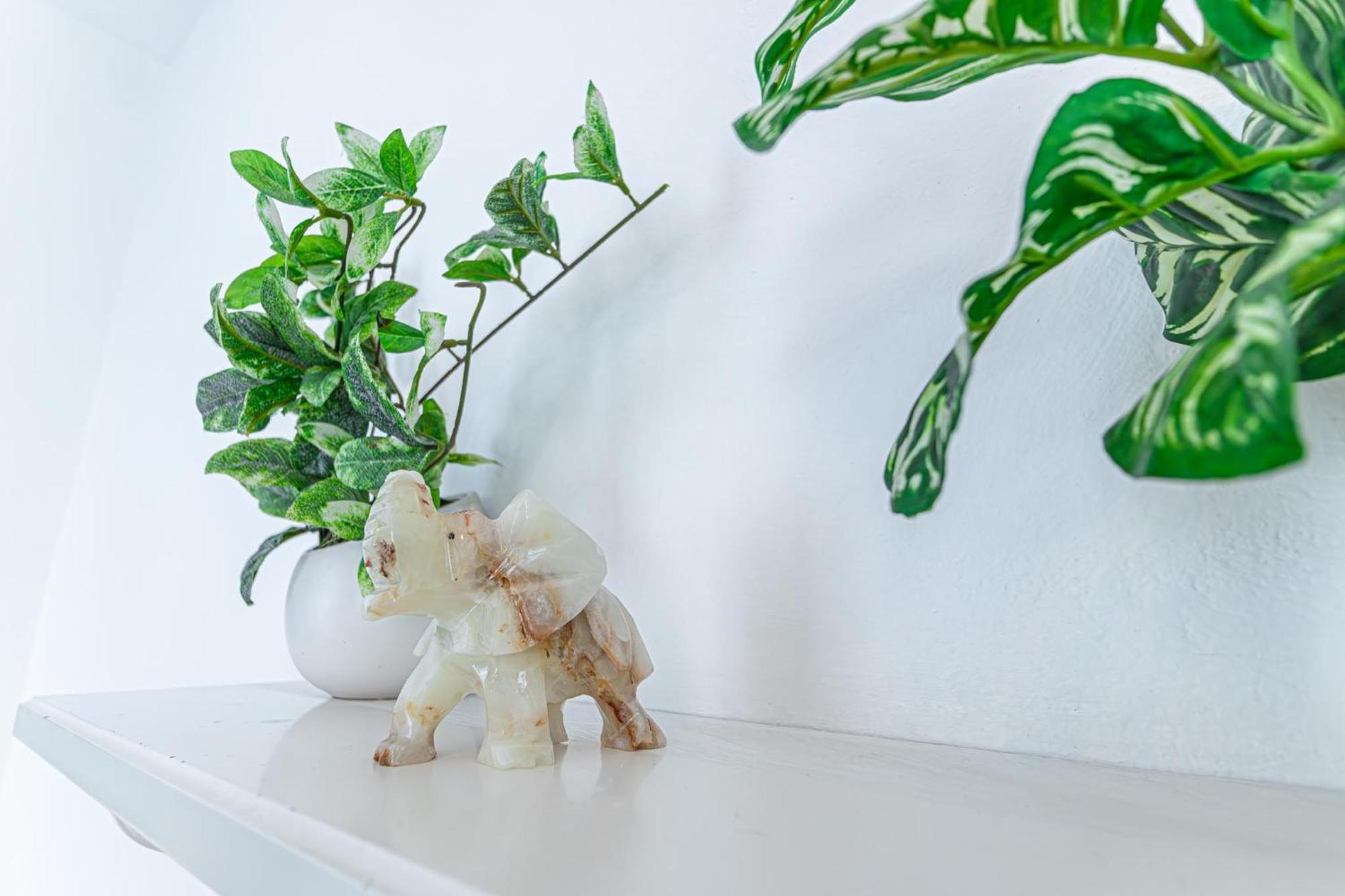 Superior 2Br Apartment - Perfect For Longstays 维也纳 外观 照片